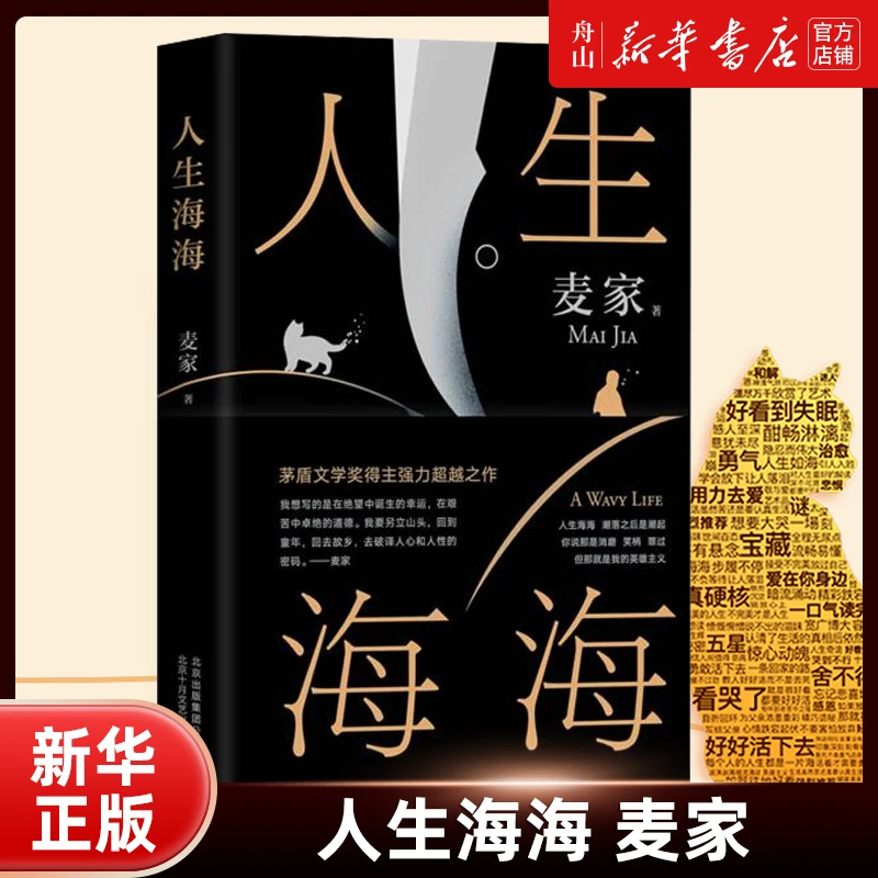 人生海海精装 麦家新书 茅盾文学奖得主2019之作文学小说书籍