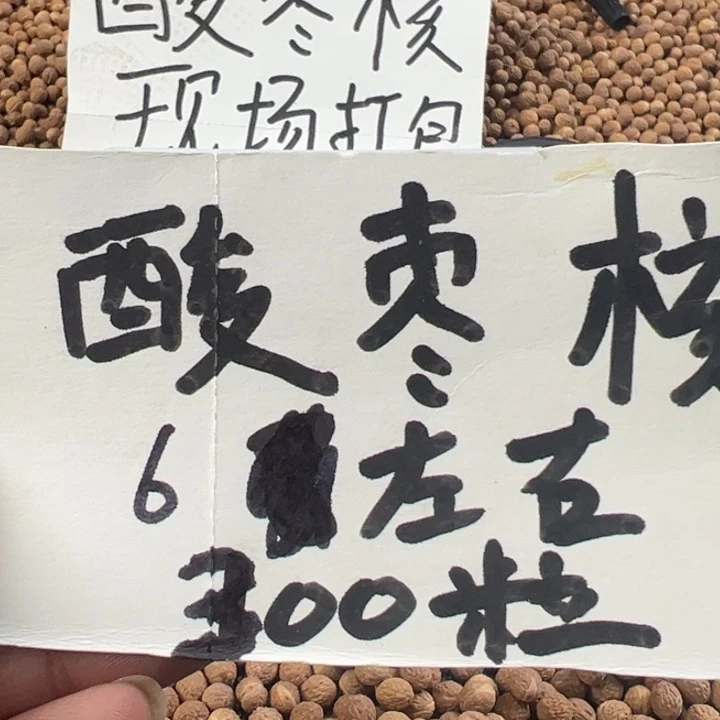 吊坠凤眼菩提文玩酸枣核