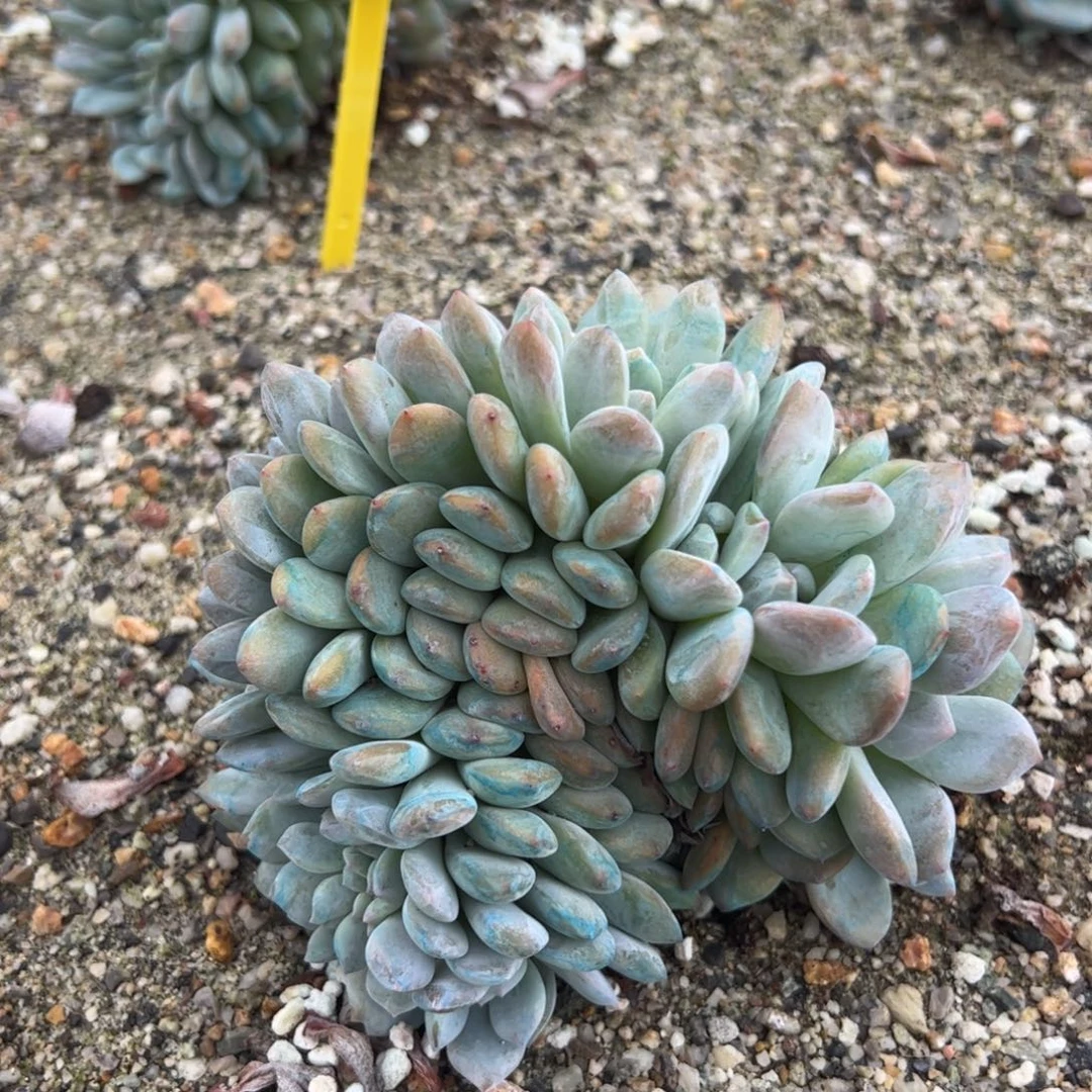 16号天天开心！万事如意！