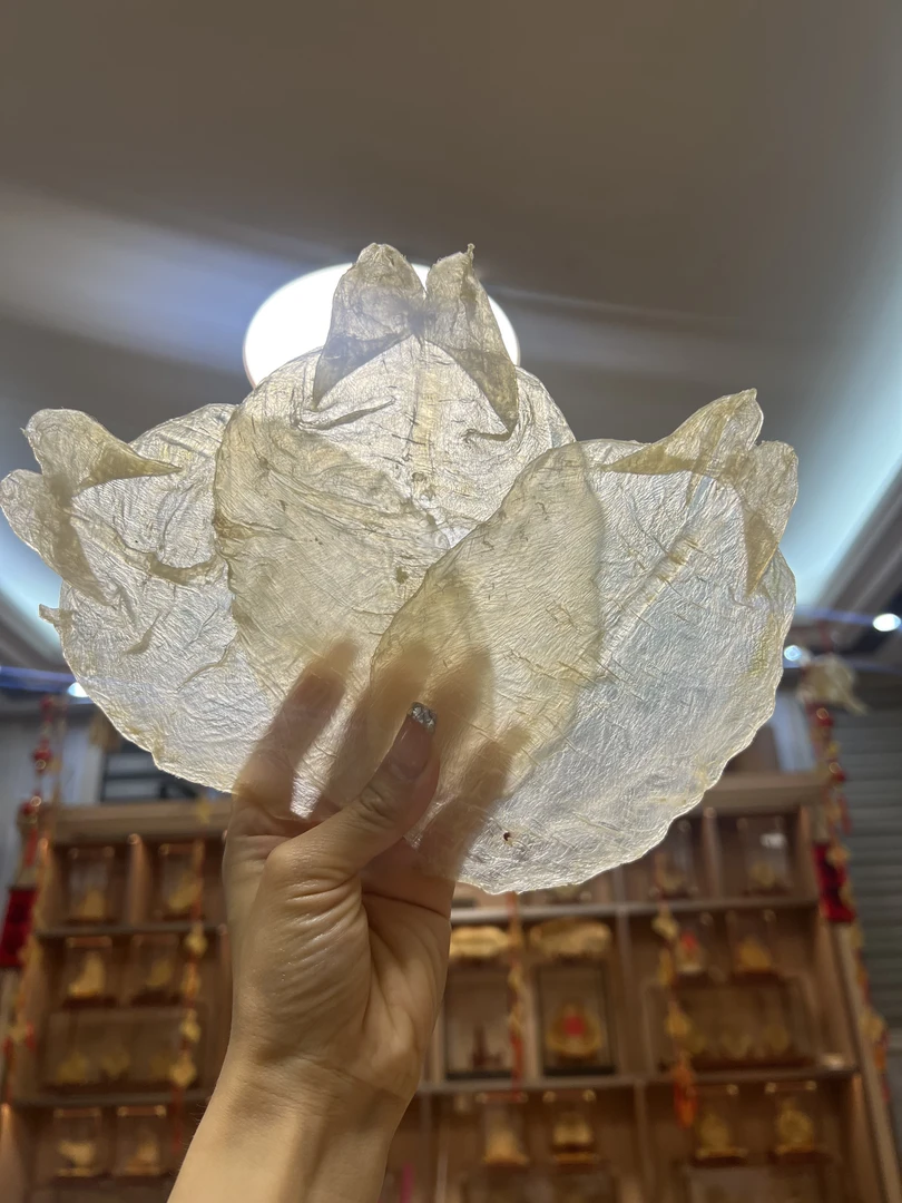 联兴港 正宗野生甲肚鱼胶18-19头 肉质q弹细腻 没腥味 厚肉1-500g