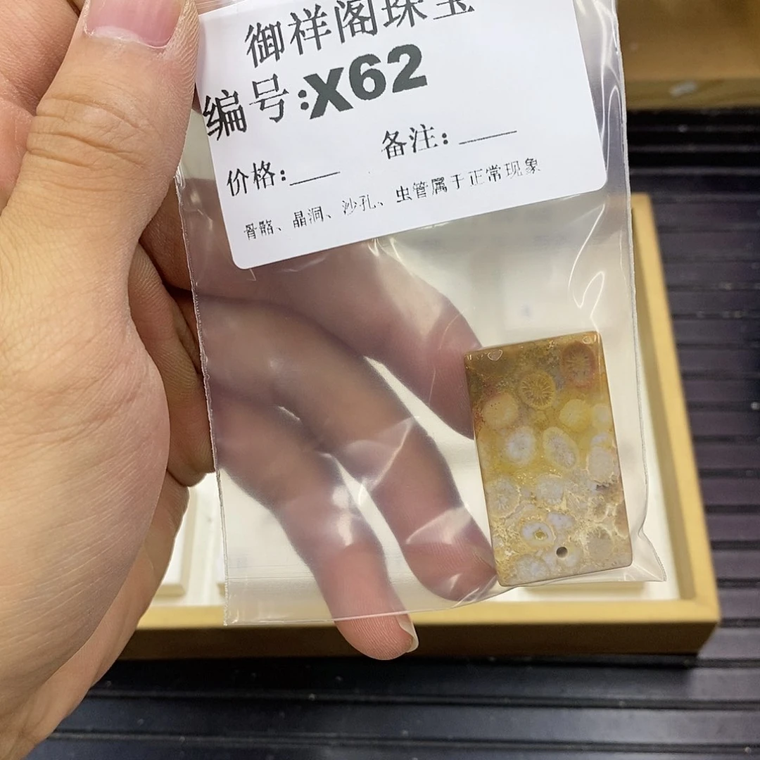 硅化珊瑚（珊瑚玉）未镶嵌颈饰小****1
