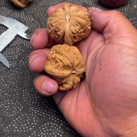 文玩核桃把件三角白10米