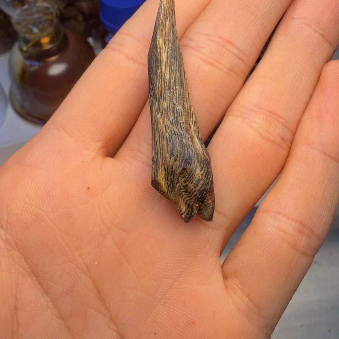 沉香沉香碎屑被***子棋楠软油树丁老料