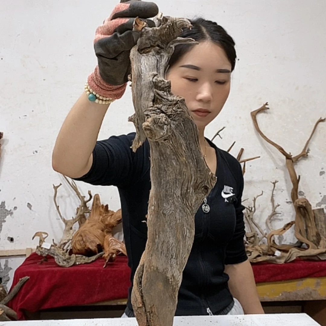 【闪购商品】柏木心*海我们都是好孩子