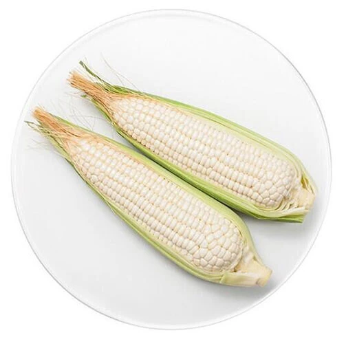 (带壳) 糯玉米  重约800-1000g（花玉米、白玉米随机发货）