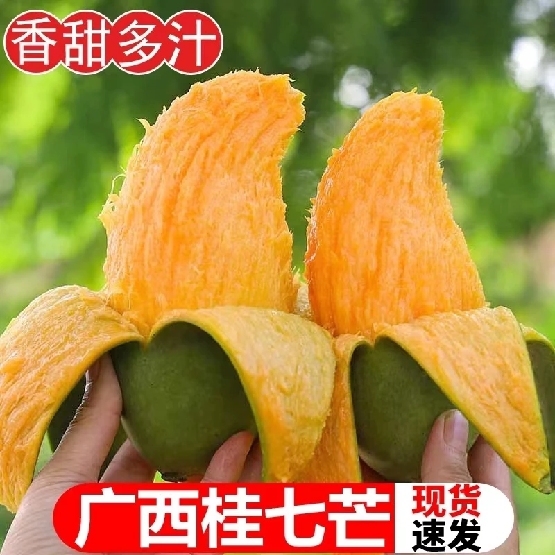 【正宗百色桂七】广西百色正宗桂七芒果6/10斤香甜多汁新鲜采摘发货