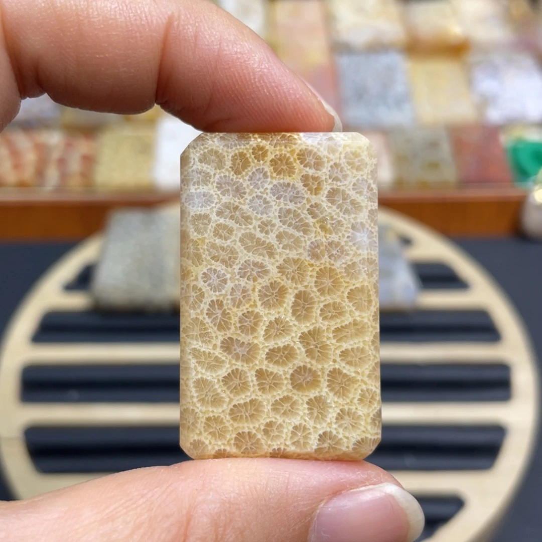 硅化玉未镶嵌颈饰k35