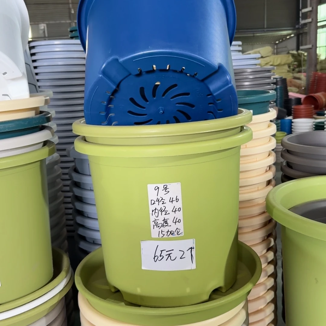 微瑕9#口径46高40无拖果绿3个