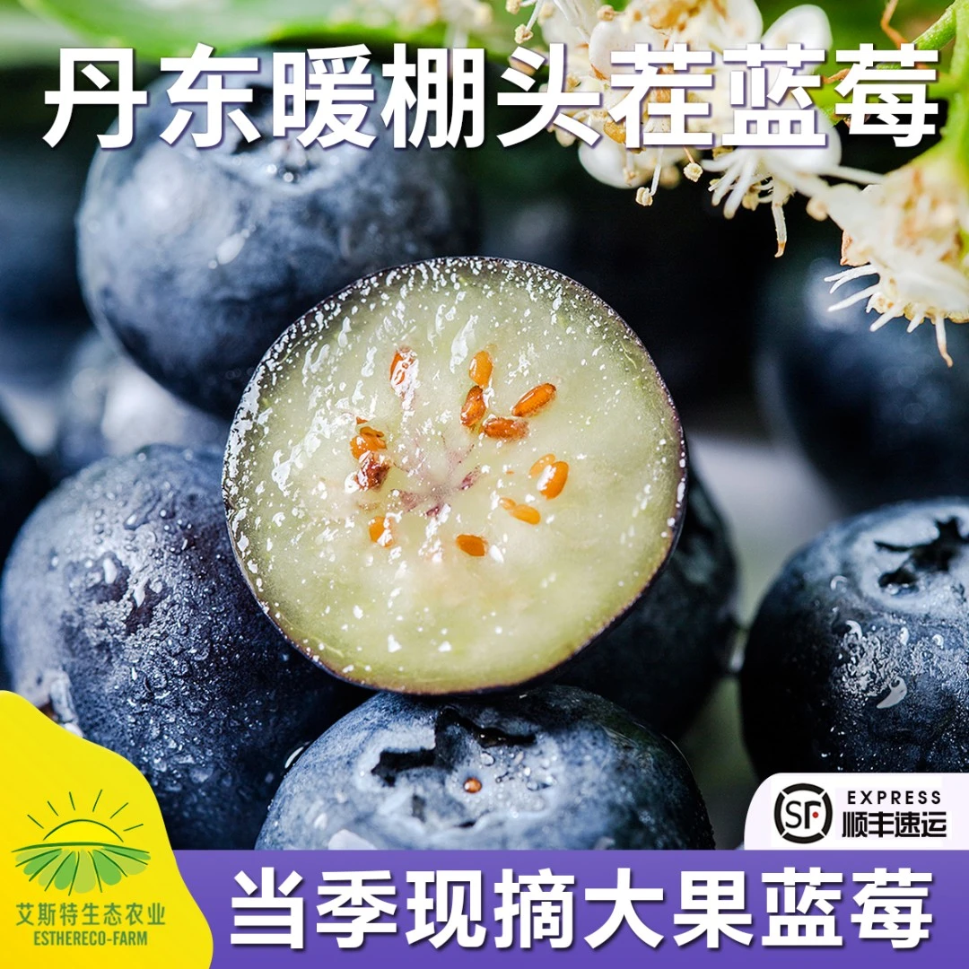 丹东蓝莓T25花香纯甜香浓郁应季鲜果125g/盒 顺丰/MXM