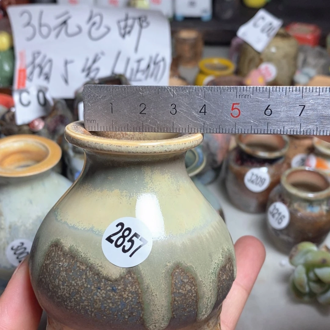 拍5送一个小礼物