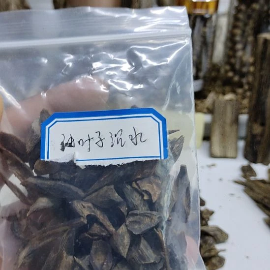 沉香碎屑沉香沉水树丁