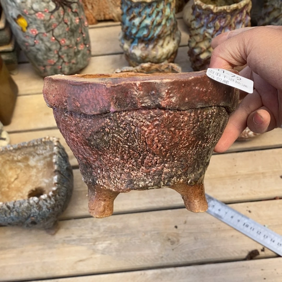 红陶往**烟72号多肉盆一个呀