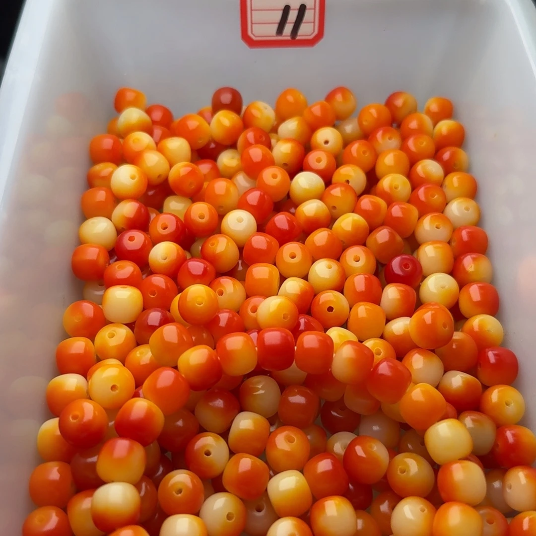 吊坠菩提根/象牙果50颗朝霞10桶