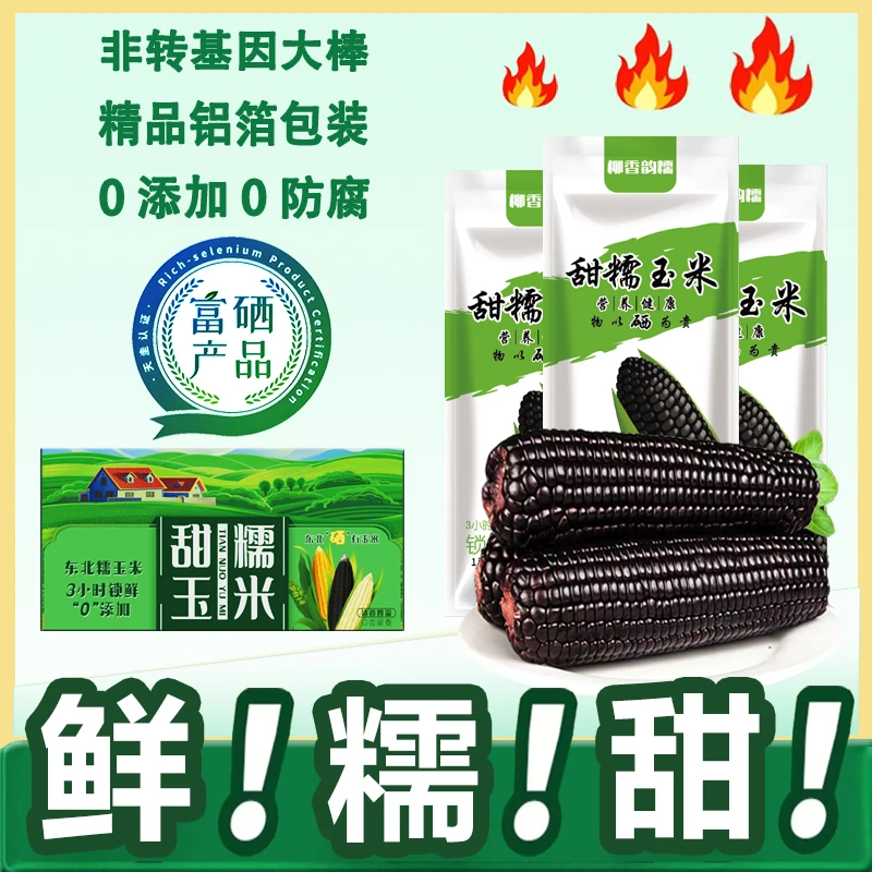 【可试吃2根】东北玉米270-350克大棒8根富硒黑糯玉米真空包装