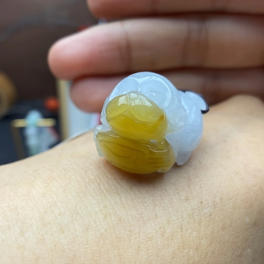 【闪购商品】颈饰未镶嵌翡翠25