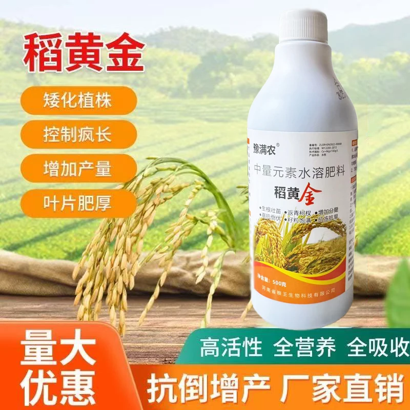 稻黄金水稻增产叶面肥抗倒伏促分渠返青灌浆早熟粒粒饱增产丰收H