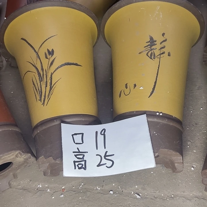 周深周深周深周深周深