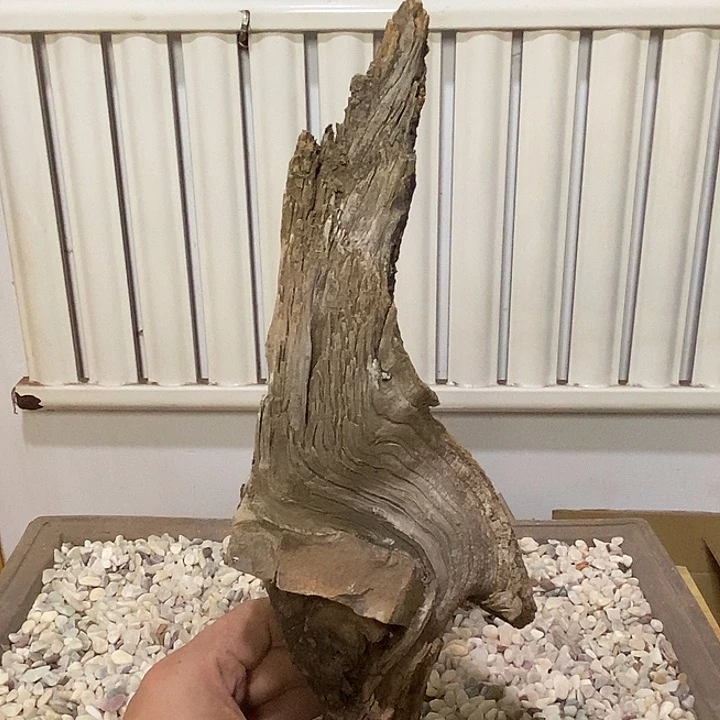 小***哥柏木崖柏根雕天然艺术