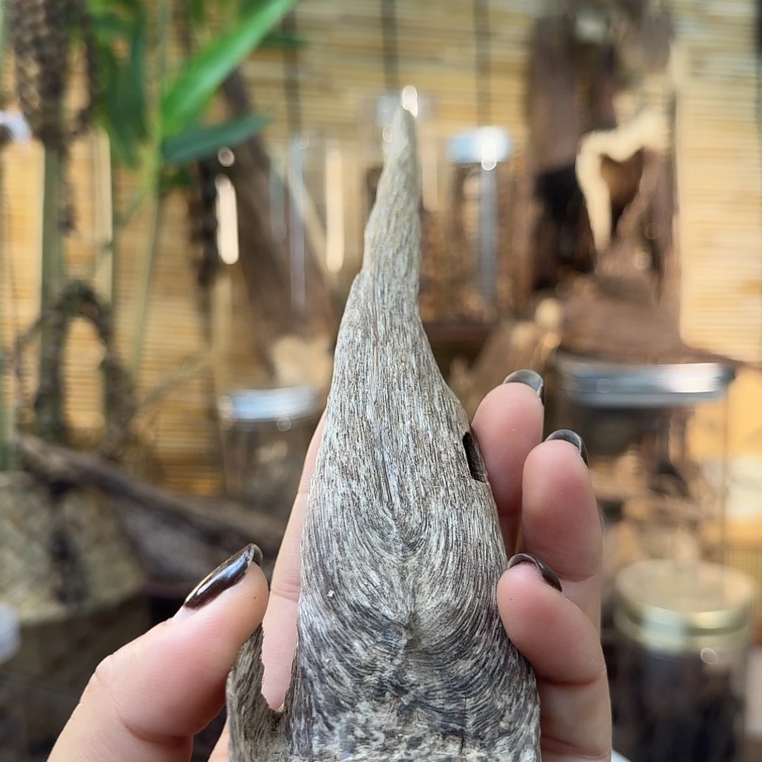 沉香沉香碎屑沉香壳子14g