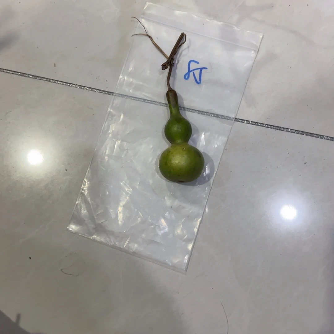 阳***，青皮不包成，，，，，，，，，，，，