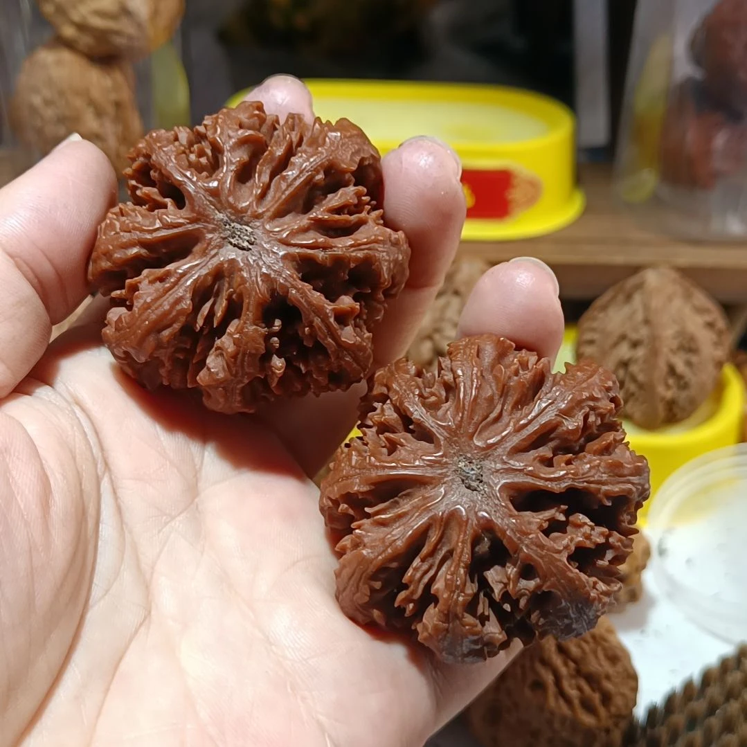 把件文玩核桃何*璧6666666666666666