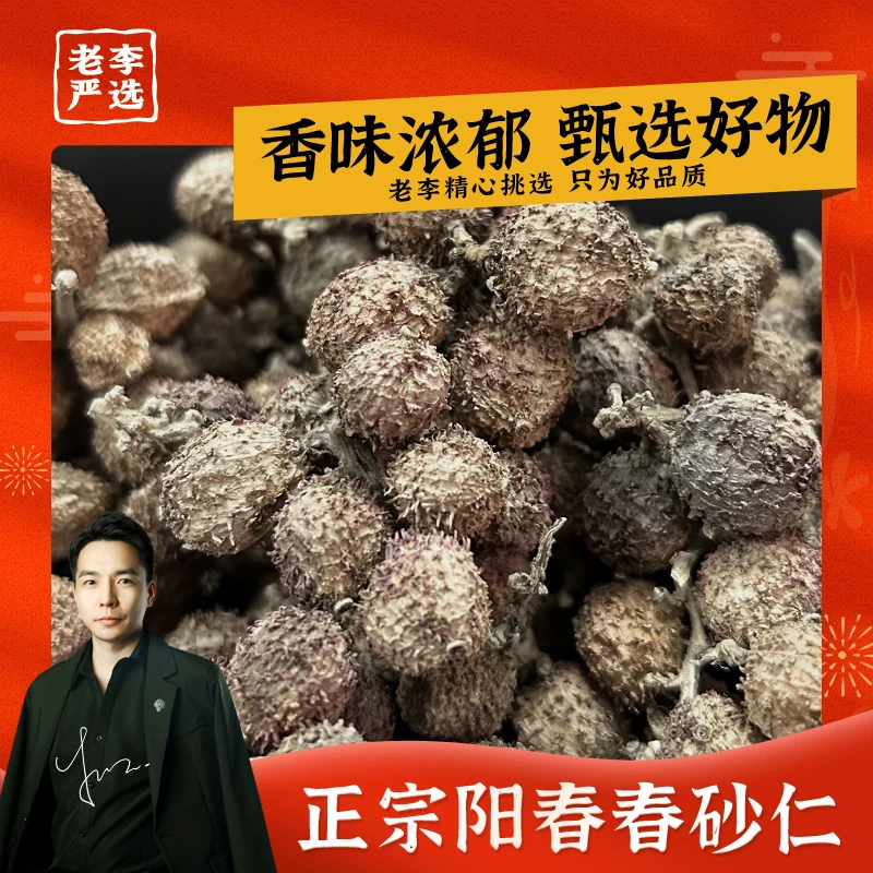 【新品首发】正宗阳春春砂仁养胃搭档煲汤蒸肉泡水香味浓郁