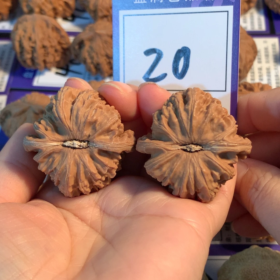 把件文玩核桃20白狮子4.1