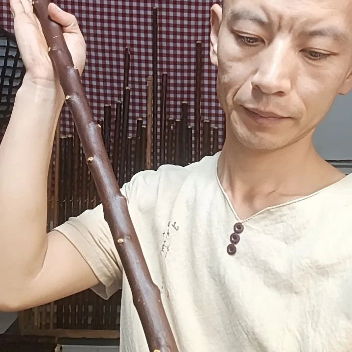太***善太行山北对节鞭杆