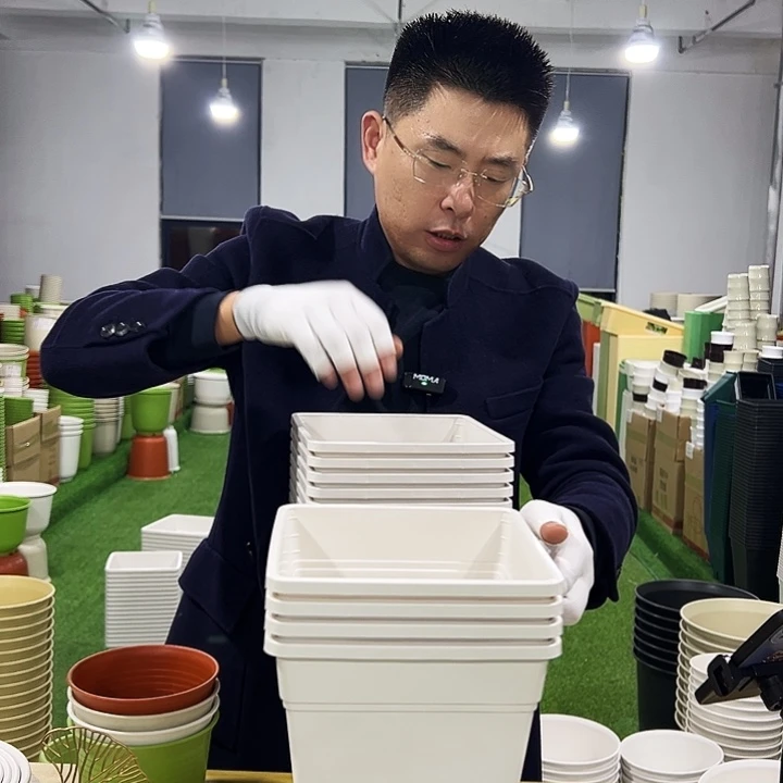 正品方盆口20高22白色6只无托