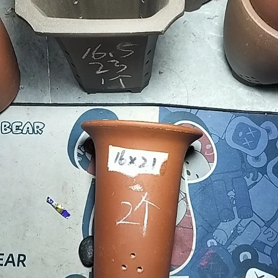 小红兰花两个微瑕