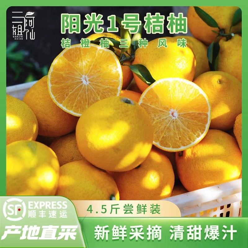 云南新鲜阳光1号桔柚4.5斤尝鲜装清甜爆汁顺丰包邮