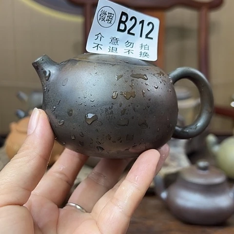戬谷龙窑柴烧茶壶212