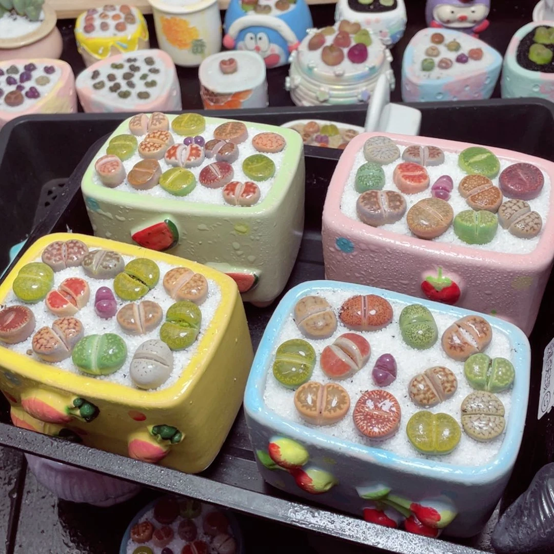 w99999-水果盆一份一盆量拍