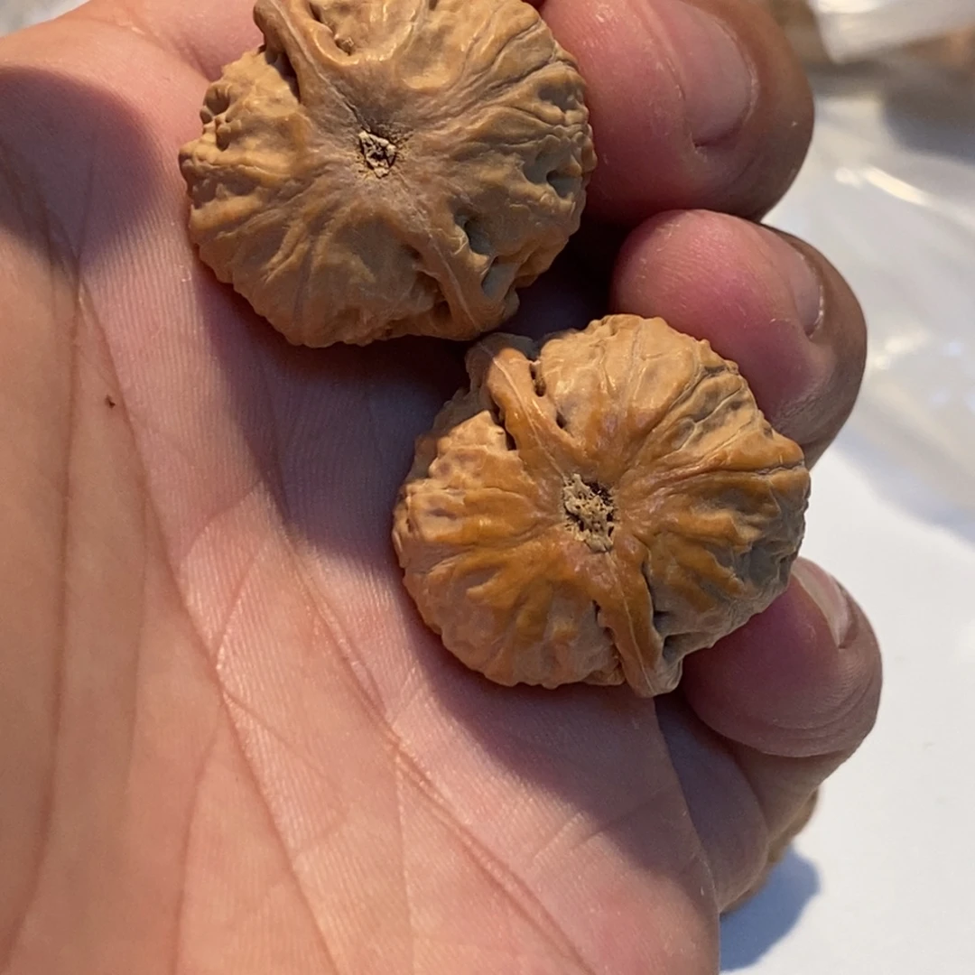 文玩核桃把件至尚孤品文玩直播