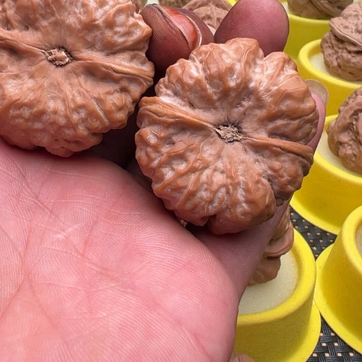 睡***着文玩核桃文玩核桃