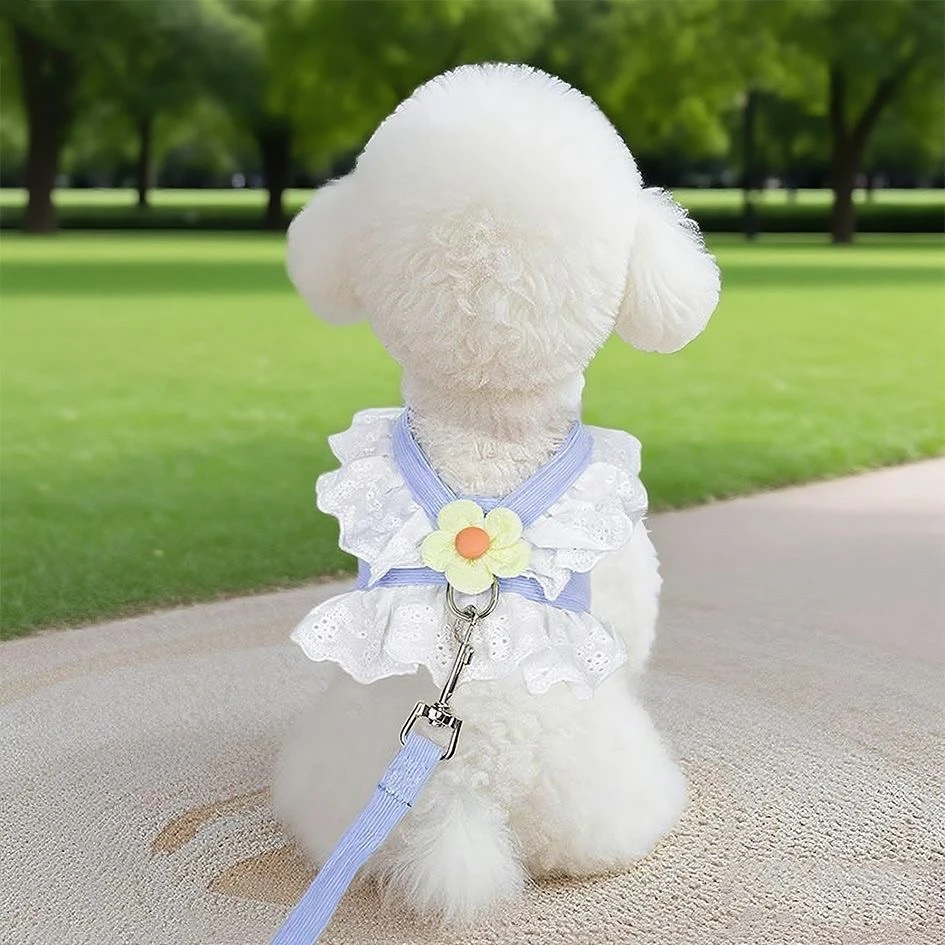 小狗狗牵引绳可爱JK小花胸背带防挣脱幼犬比熊泰迪夏季背心式狗绳