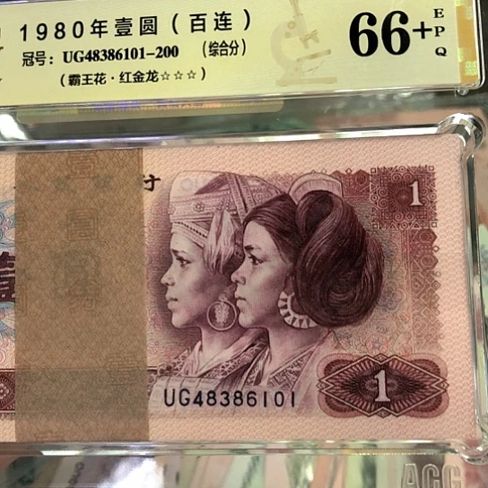 48386101百连红金龙————-