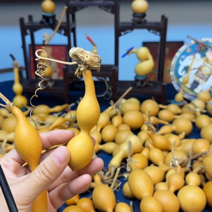 在****葫芦1111111111111