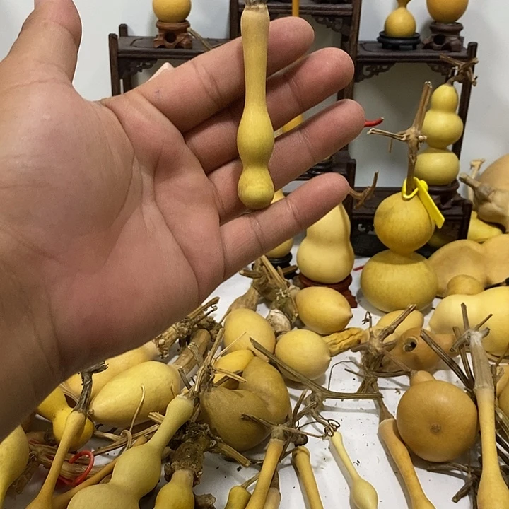 用***9手把精品文玩葫芦