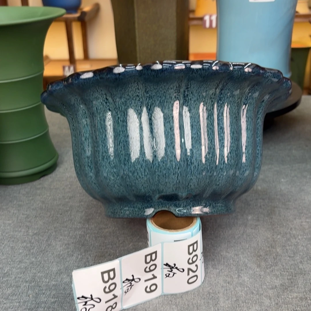 龙***犬紫砂花盆兰花15885588855888