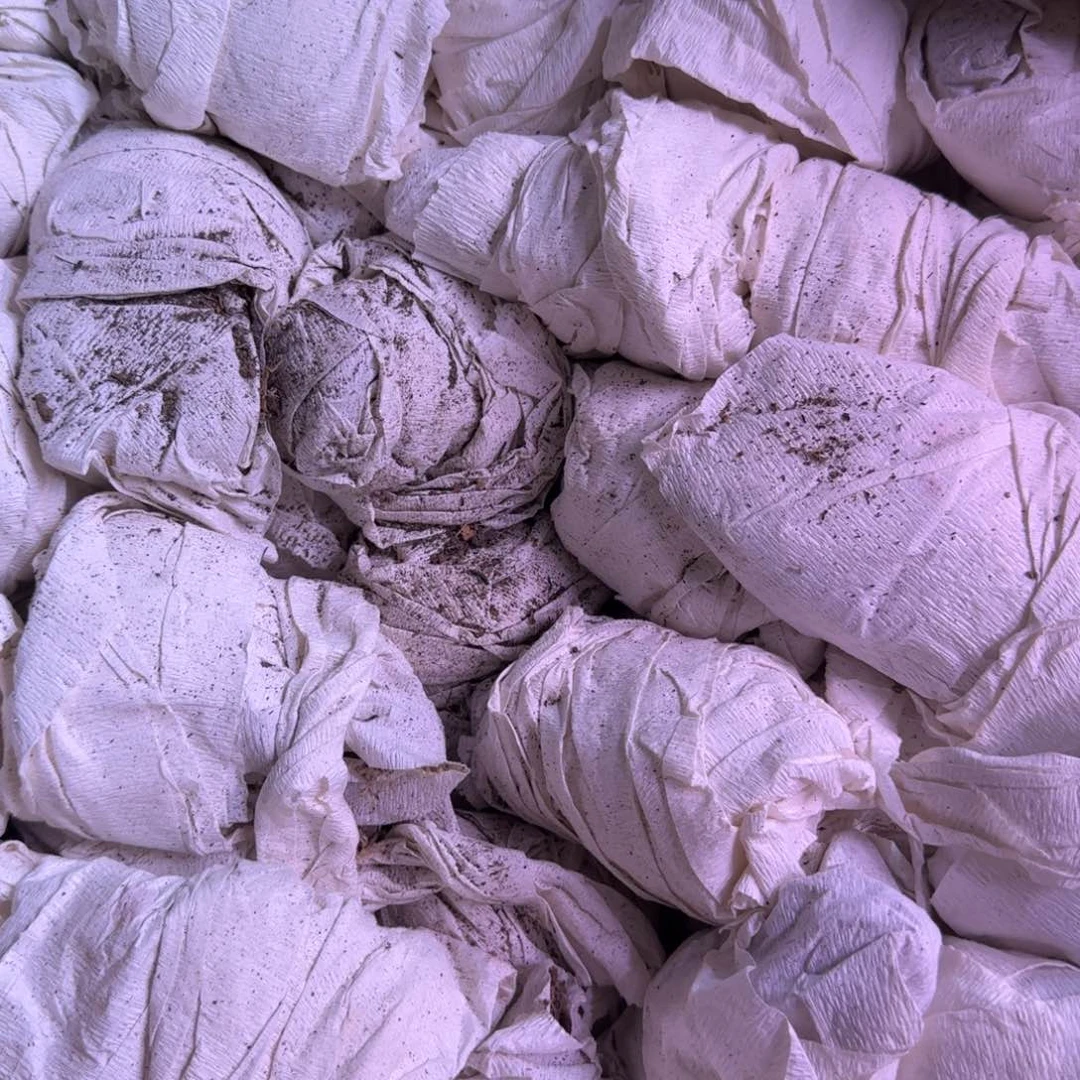 实生白皮y两颗一组