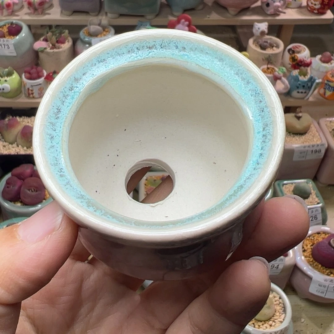 粘*多肉植物272号花盆