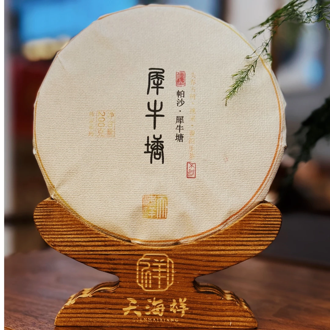 2024年帕沙犀牛塘挑采大古树普洱生茶守采