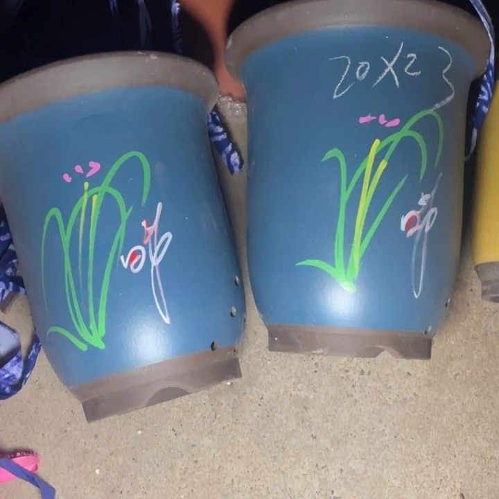 周三周四试试再说这是啥子