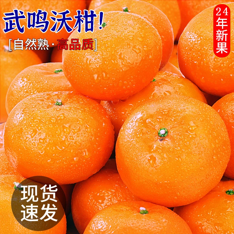 XD8正宗广西武鸣沃柑皮薄肉厚汁水多当季水果园新鲜现摘
