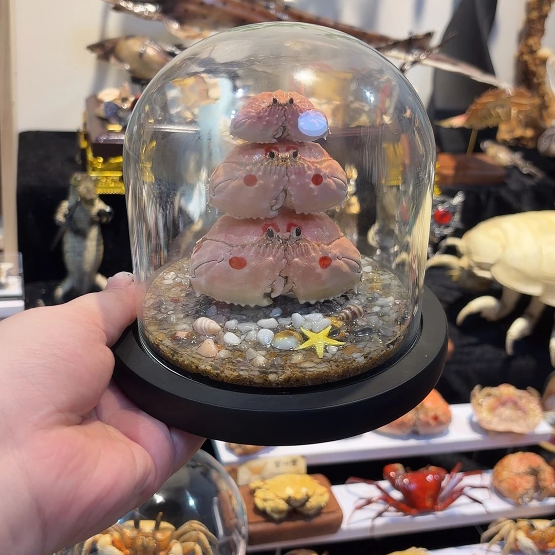 逍遥馒头三折叠蟹