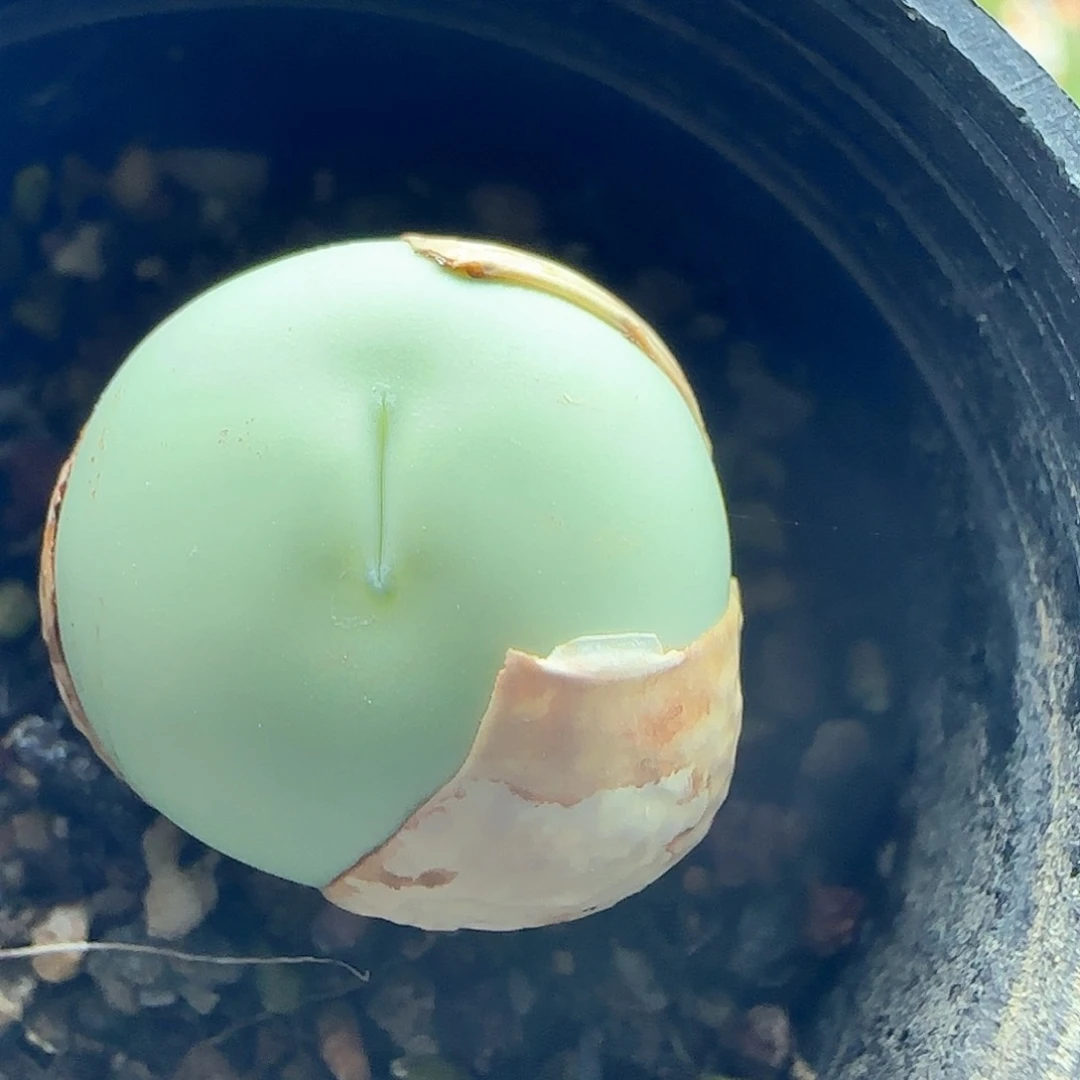 周末愉快哈哈40366