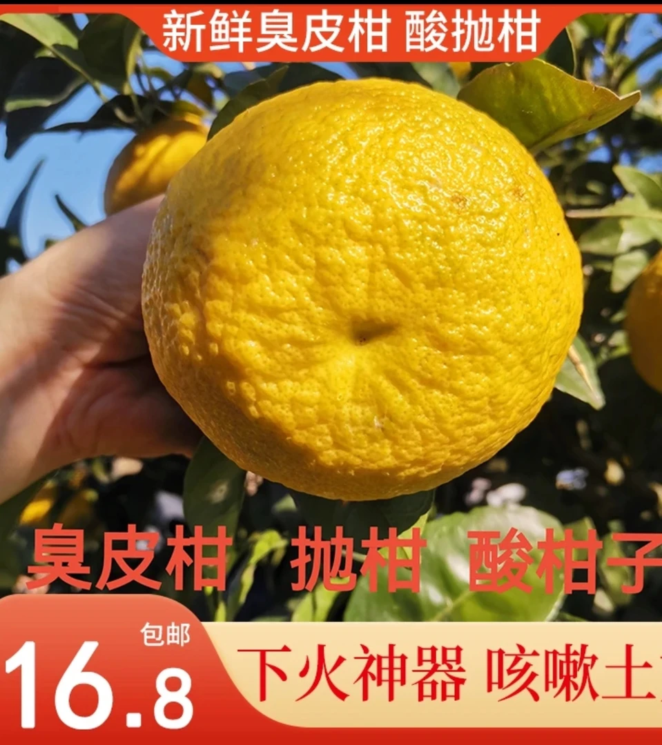 【下火神器】湖北湖南酸抛柑臭皮柑泡柑5斤包邮