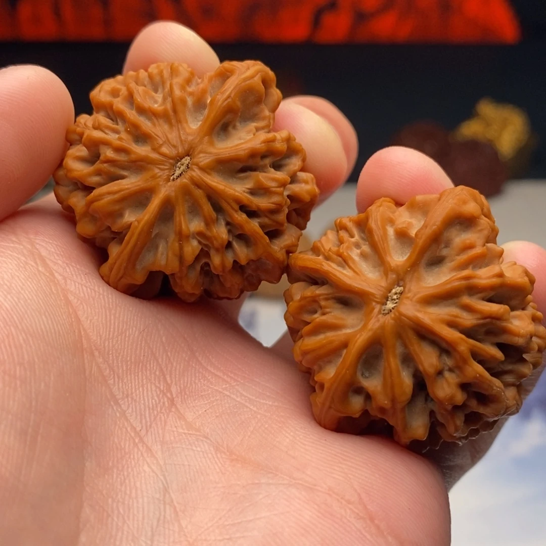 越***野把件文玩核桃秦闷