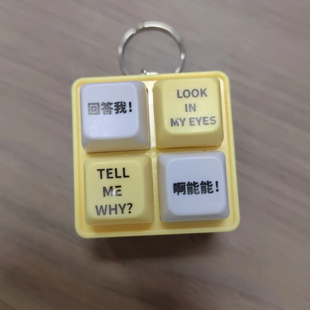 -3抽象经典语录语音钥匙扣趣味解压按键玩具积木挂件